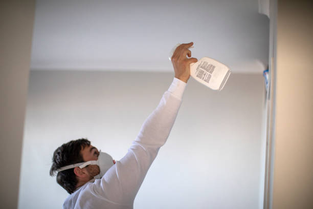 Best Residential Mold Removal  in Heflin, AL