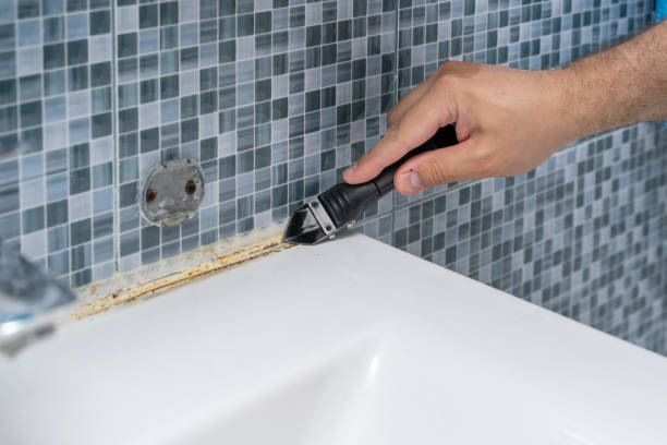 Best Mold Testing  in Heflin, AL