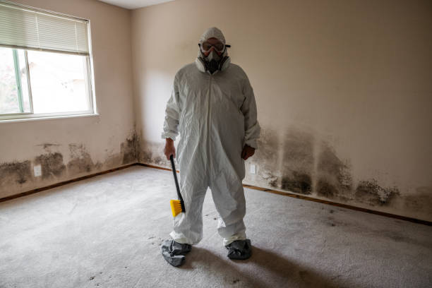 Best Mold Damage Repair  in Heflin, AL